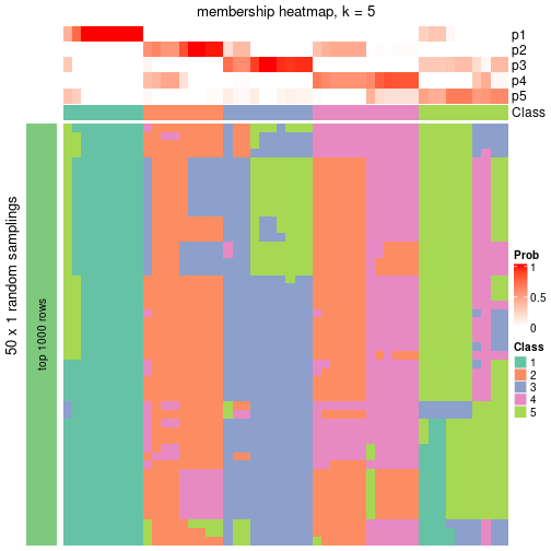 plot of chunk tab-node-021-membership-heatmap-4