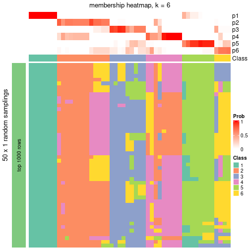 plot of chunk tab-node-021-membership-heatmap-5