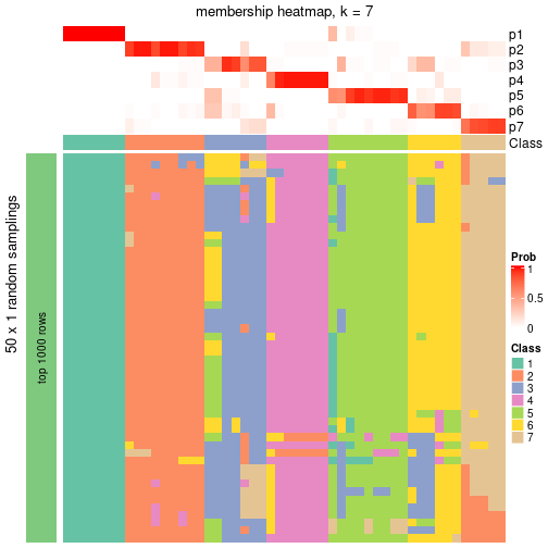 plot of chunk tab-node-021-membership-heatmap-6