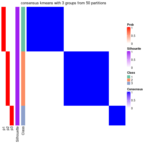 plot of chunk tab-node-0211-consensus-heatmap-2