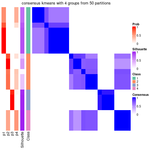 plot of chunk tab-node-0211-consensus-heatmap-3