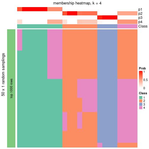 plot of chunk tab-node-0211-membership-heatmap-3