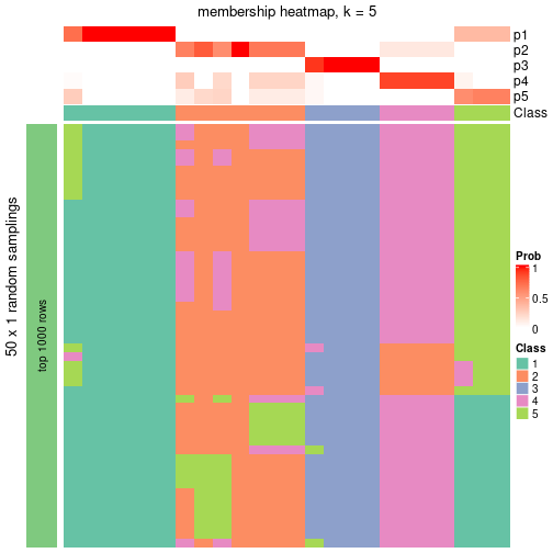 plot of chunk tab-node-0211-membership-heatmap-4