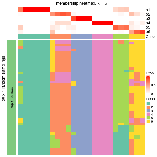 plot of chunk tab-node-0211-membership-heatmap-5