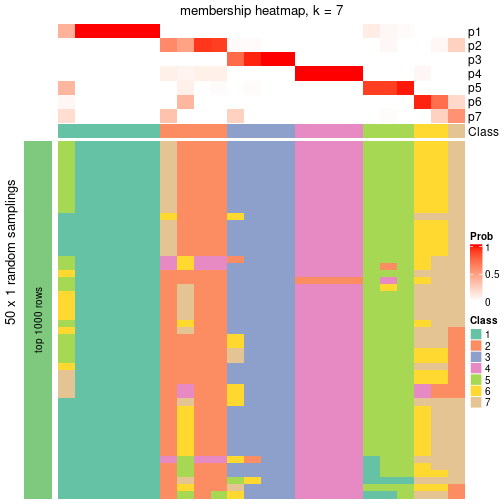 plot of chunk tab-node-0211-membership-heatmap-6