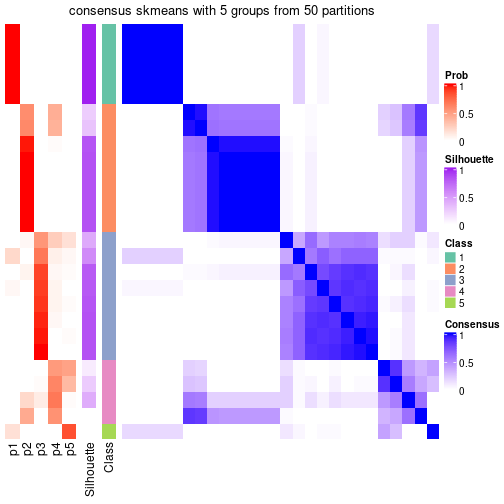 plot of chunk tab-node-0212-consensus-heatmap-4