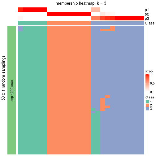 plot of chunk tab-node-0212-membership-heatmap-2