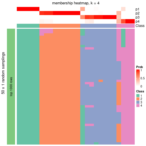 plot of chunk tab-node-0212-membership-heatmap-3