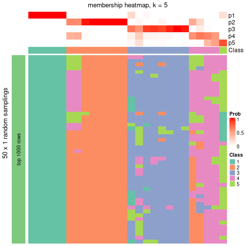 plot of chunk tab-node-0212-membership-heatmap-4