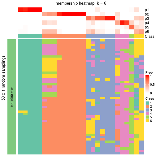 plot of chunk tab-node-0212-membership-heatmap-5