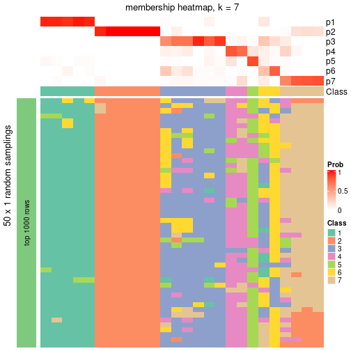 plot of chunk tab-node-0212-membership-heatmap-6