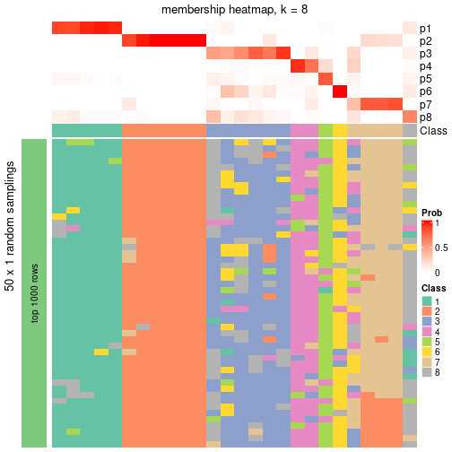 plot of chunk tab-node-0212-membership-heatmap-7