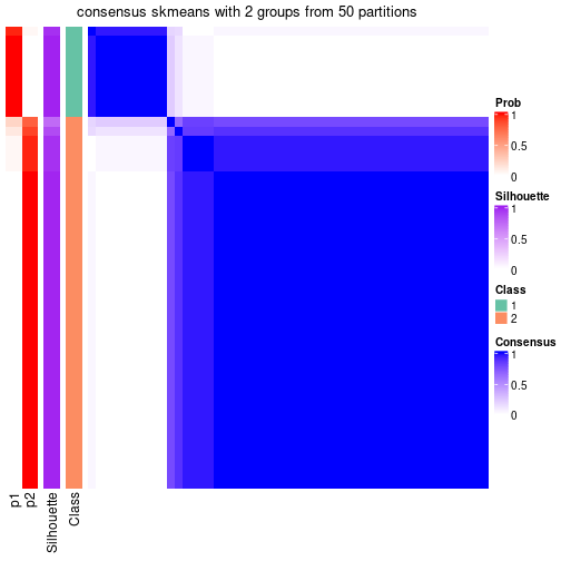 plot of chunk tab-node-022-consensus-heatmap-1