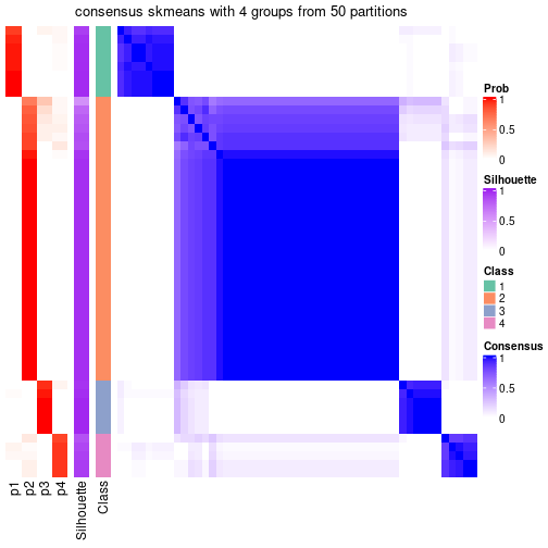 plot of chunk tab-node-022-consensus-heatmap-3