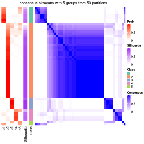 plot of chunk tab-node-022-consensus-heatmap-4