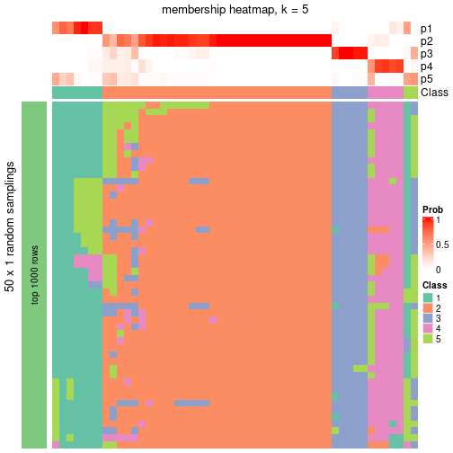 plot of chunk tab-node-022-membership-heatmap-4