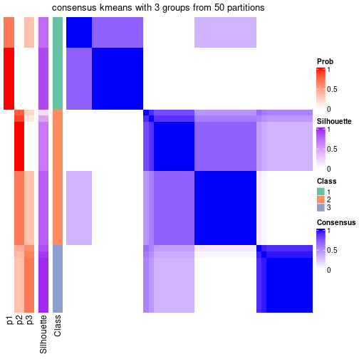 plot of chunk tab-node-023-consensus-heatmap-2