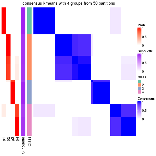 plot of chunk tab-node-023-consensus-heatmap-3