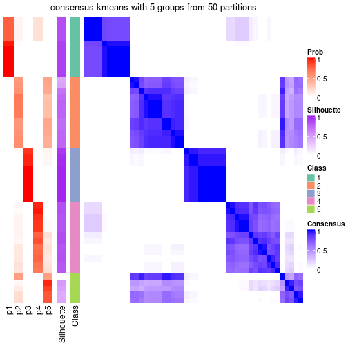 plot of chunk tab-node-023-consensus-heatmap-4