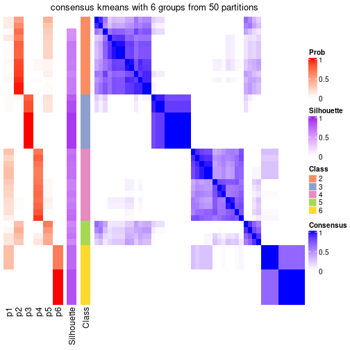 plot of chunk tab-node-023-consensus-heatmap-5