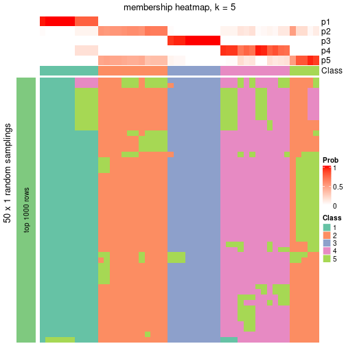 plot of chunk tab-node-023-membership-heatmap-4