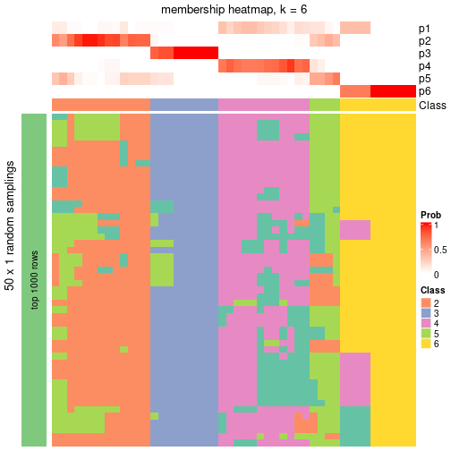 plot of chunk tab-node-023-membership-heatmap-5