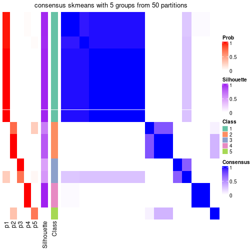 plot of chunk tab-node-0232-consensus-heatmap-4