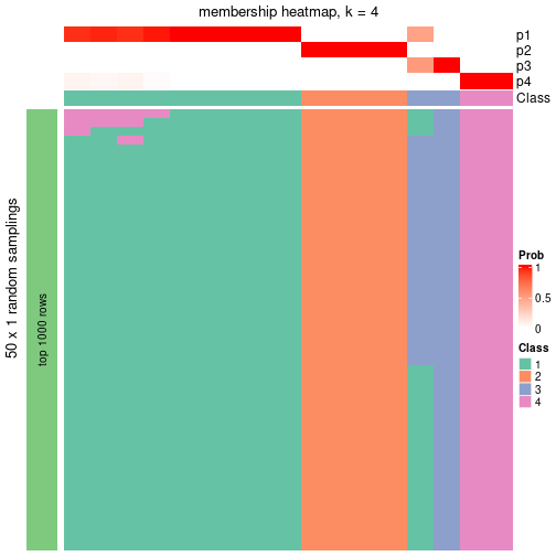 plot of chunk tab-node-0232-membership-heatmap-3