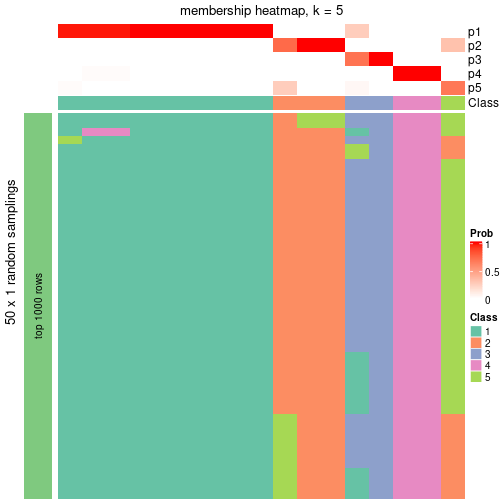 plot of chunk tab-node-0232-membership-heatmap-4