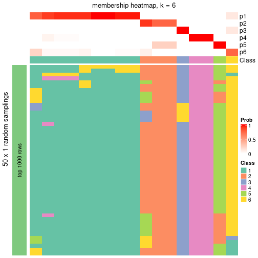 plot of chunk tab-node-0232-membership-heatmap-5