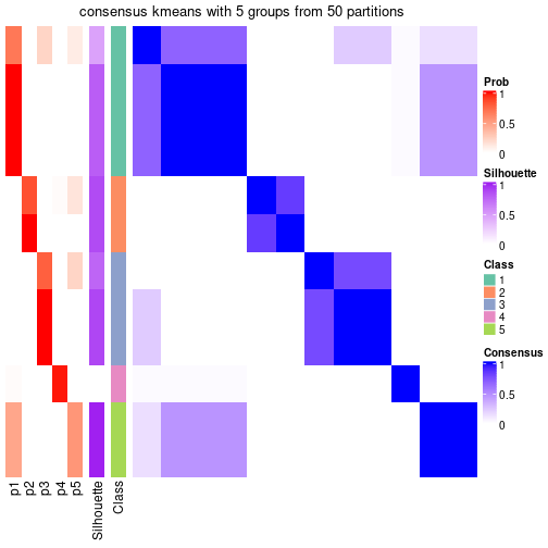 plot of chunk tab-node-0234-consensus-heatmap-4