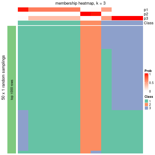 plot of chunk tab-node-0234-membership-heatmap-2