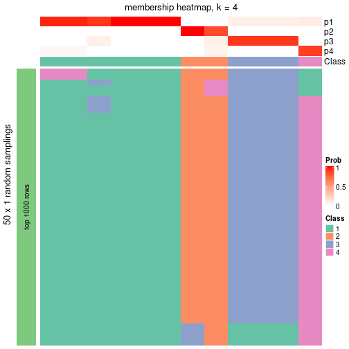 plot of chunk tab-node-0234-membership-heatmap-3