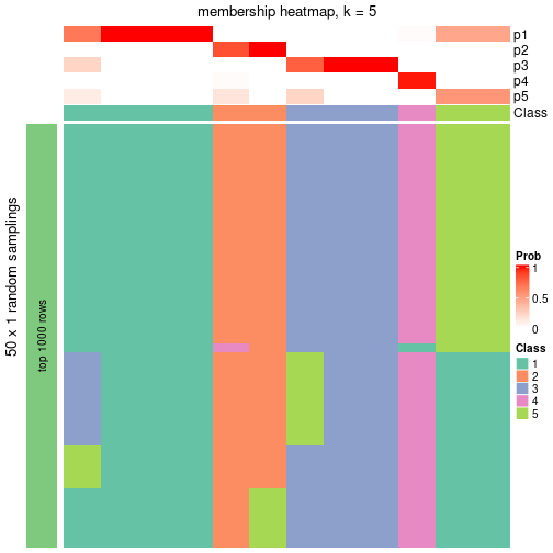 plot of chunk tab-node-0234-membership-heatmap-4