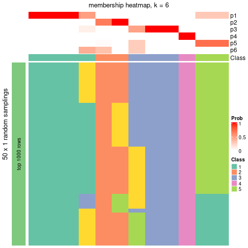 plot of chunk tab-node-0234-membership-heatmap-5