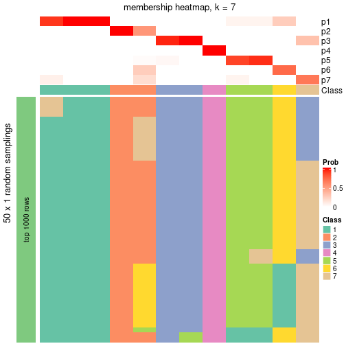 plot of chunk tab-node-0234-membership-heatmap-6