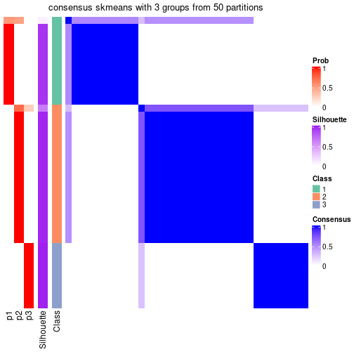 plot of chunk tab-node-024-consensus-heatmap-2