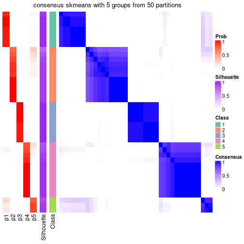 plot of chunk tab-node-024-consensus-heatmap-4