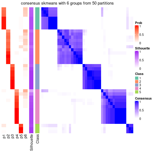 plot of chunk tab-node-024-consensus-heatmap-5