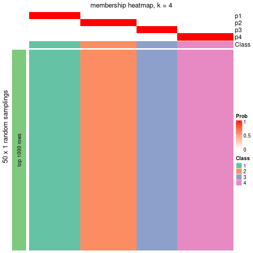 plot of chunk tab-node-024-membership-heatmap-3