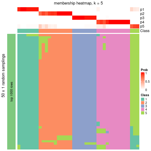 plot of chunk tab-node-024-membership-heatmap-4