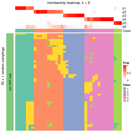 plot of chunk tab-node-024-membership-heatmap-5