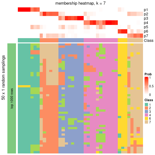 plot of chunk tab-node-024-membership-heatmap-6