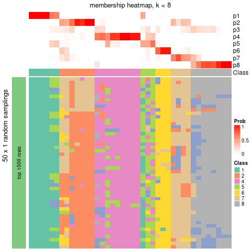 plot of chunk tab-node-024-membership-heatmap-7