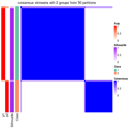 plot of chunk tab-node-03-consensus-heatmap-1