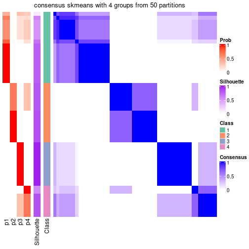 plot of chunk tab-node-03-consensus-heatmap-3