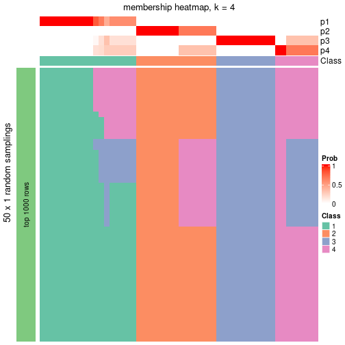 plot of chunk tab-node-03-membership-heatmap-3