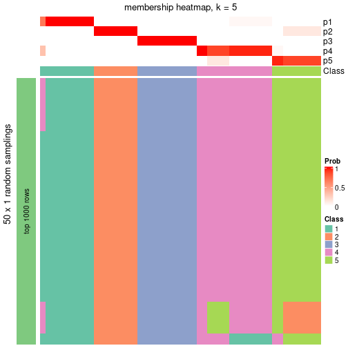 plot of chunk tab-node-03-membership-heatmap-4