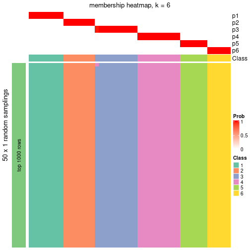 plot of chunk tab-node-03-membership-heatmap-5