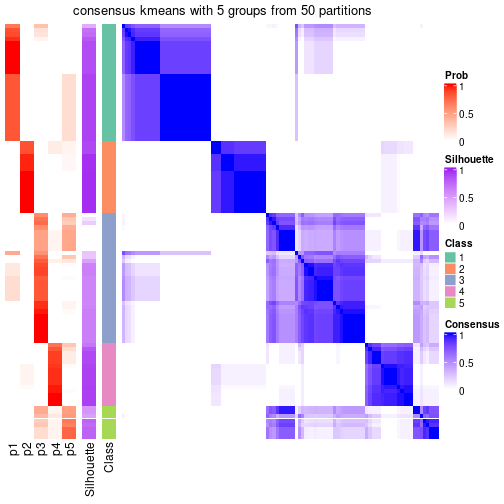 plot of chunk tab-node-04-consensus-heatmap-4